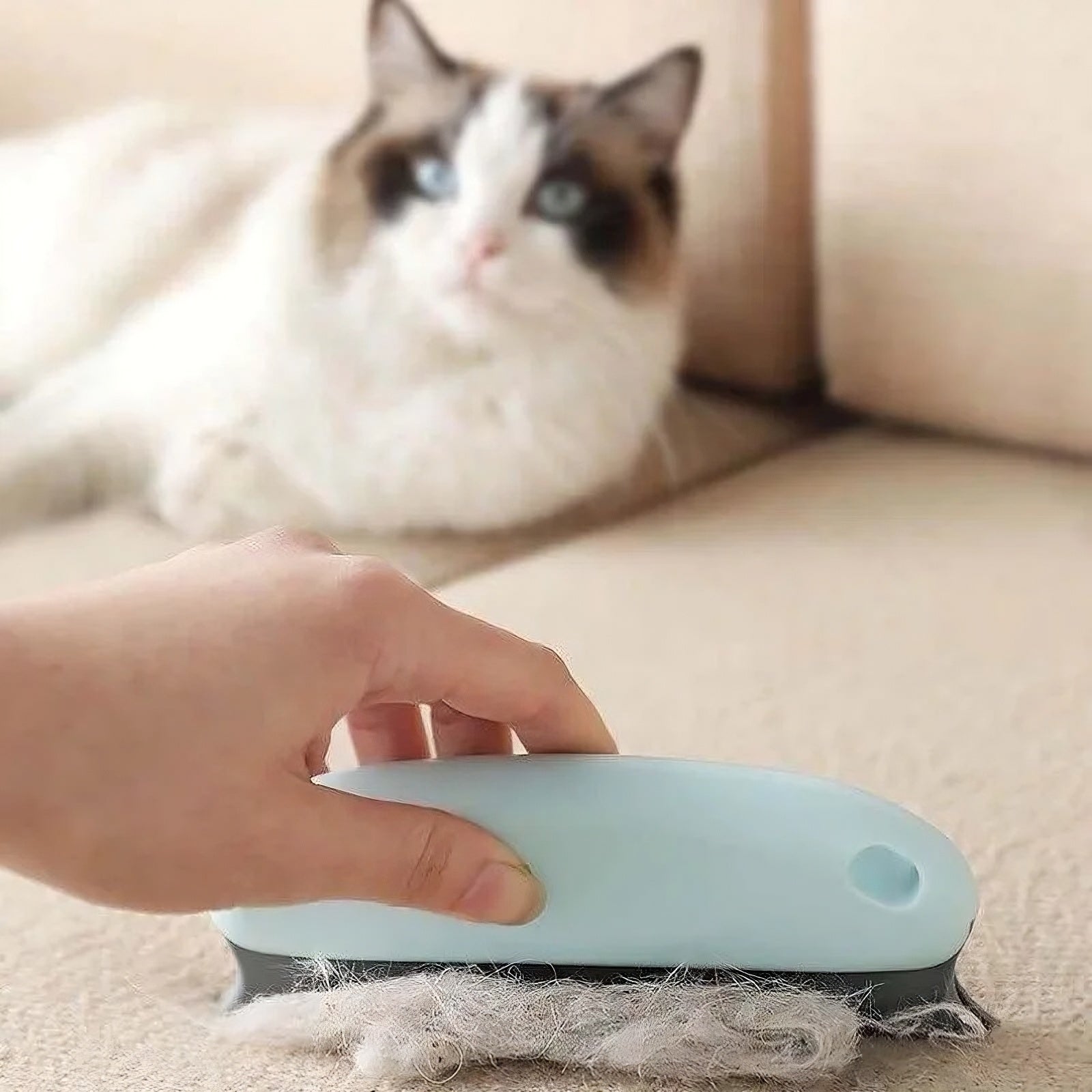 Effective Pet Hair Remover - The Ultimate Pet Hair Remover